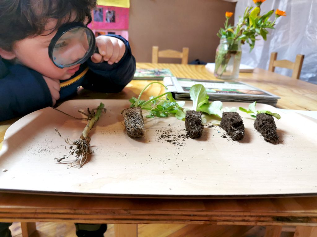 experimentos para niños cercanos a la naturaleza